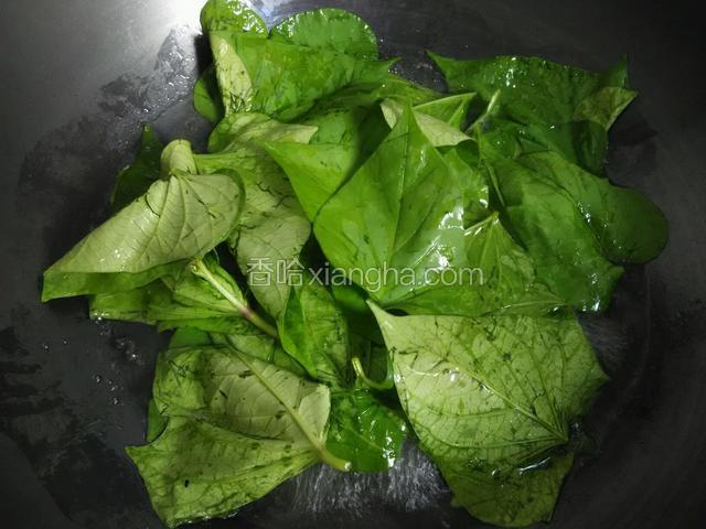 把红薯叶放锅里氽水。