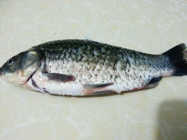 准备好鲫鱼，让老板杀好，然后洗净