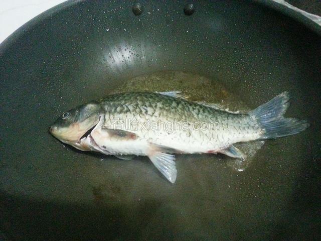 锅烧热，倒入少许油，待油温变热，放入鲫鱼
