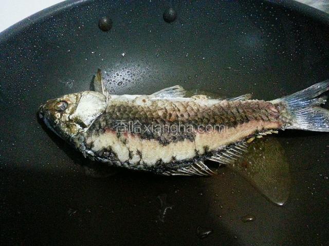 将鲫鱼一面煎好翻个面
