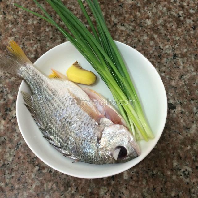 准备好食材：鱼，葱，姜，胡萝卜忘记合照了。