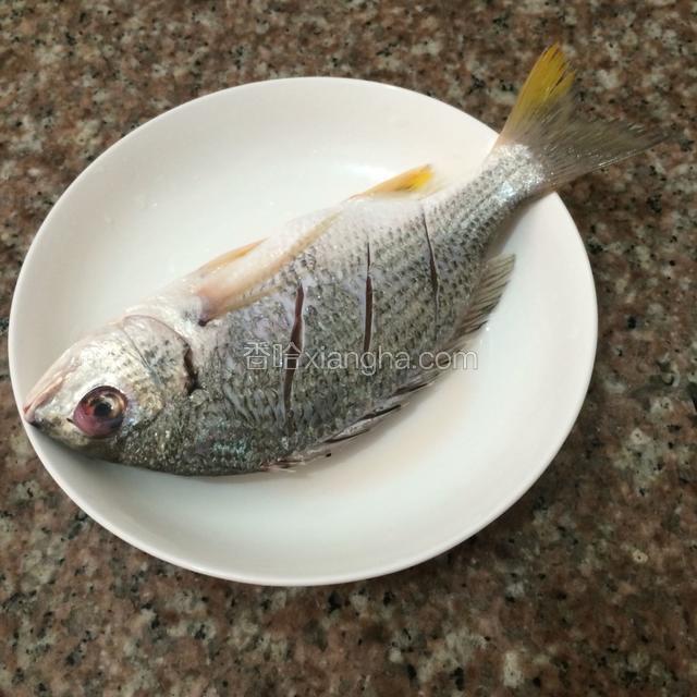 鱼洗净后，正反面均匀的划上几刀，方便入味，抹上适量盐。