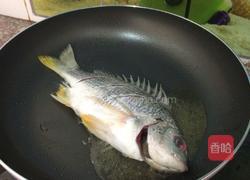 黄鱼汤的做法图解4