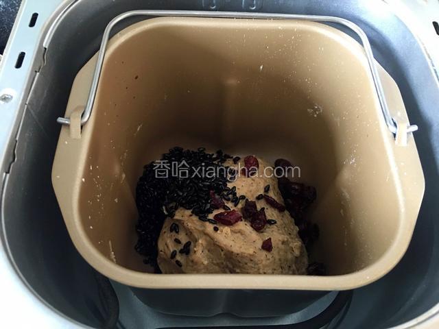 在放入紫米和蔓越莓，继续和面一个程序。