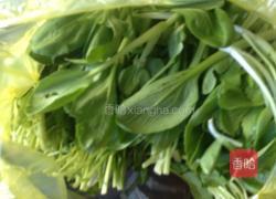 菜肉馄饨的做法图解1