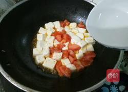 西红柿烧豆腐的做法图解7