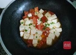 西红柿烧豆腐的做法图解10