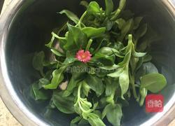 拌穿心莲的做法图解2