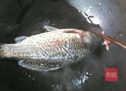 鲫鱼西红柿汤的做法图解7