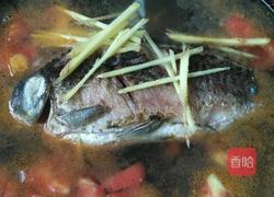 鲫鱼西红柿汤的做法图解9