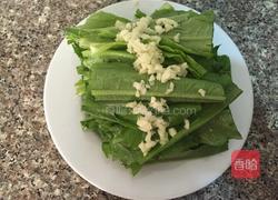 凉拌油麦菜的做法图解4