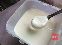 酸牛奶的做法图解10