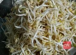 生绿豆芽的做法图解7