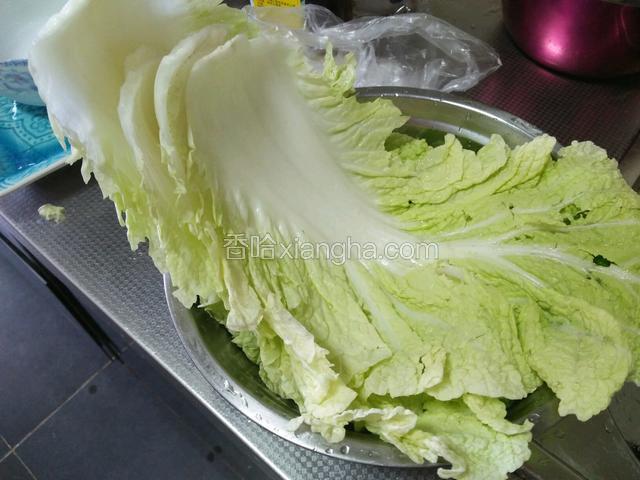 白菜洗净