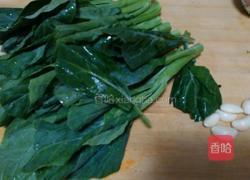 蒜蓉芥兰的做法图解1