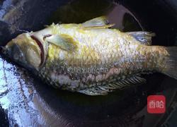 通草鲫鱼汤的做法图解2