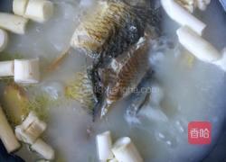 通草鲫鱼汤的做法图解3