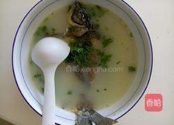 通草鲫鱼汤的做法图解4