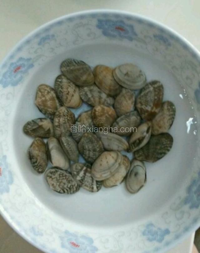 蛤蜊先泡水吐沙半个小时