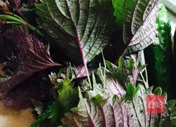 紫苏黄瓜的做法图解2