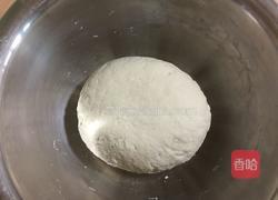 猪肉豆角水饺的做法图解3