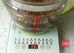 甜菊大麦茶的做法图解1