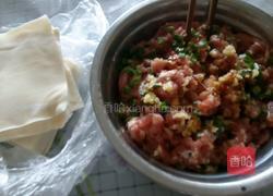 红油抄手的做法图解2