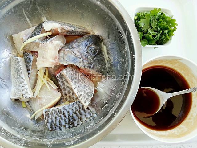 鱼块腌好了，料汁也调好了，将香菜切小段
