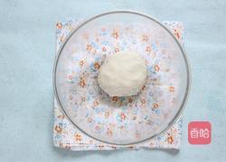 酒酿圆子的做法图解2