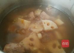 莲藕排骨汤的做法图解8