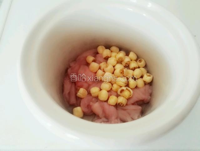将莲子和小肠放入小炖锅内胆里