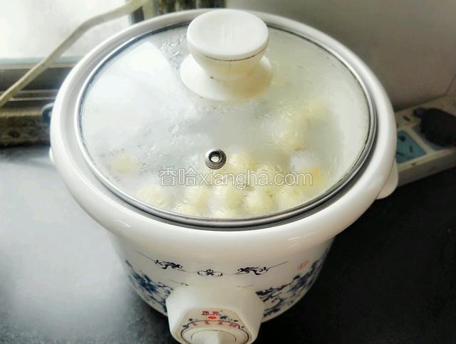 放到炖锅里盖上锅盖，接通电源，开高档键自动炖3小时以上，炖好后调入适量盐即可