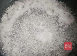 水果酒酿的做法图解3