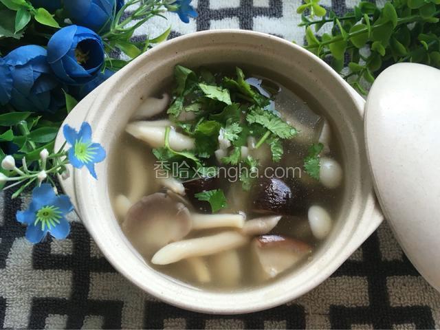 菌菇煲