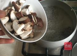 菌菇煲的做法图解5