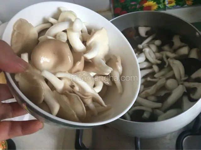 最后加入平菇，