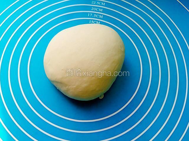 这是第二次揉好的面团