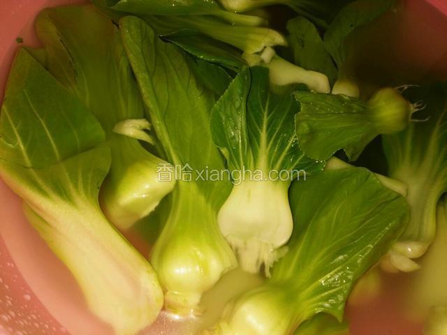 将油菜洗干净