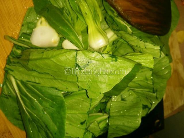 将叶和菜梗分开切