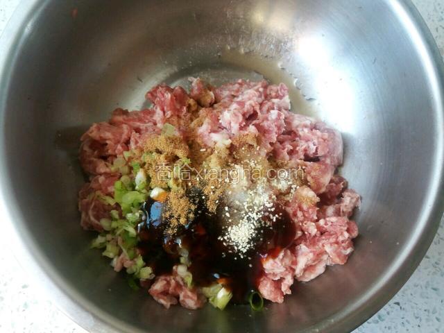 肉放到容器里，加入盐，鸡精，蚝油，生抽，十三香，葱姜沫和炸好的油