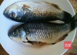 西红柿鲫鱼汤的做法图解1