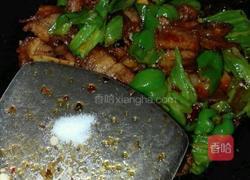 四川回锅肉的做法图解10