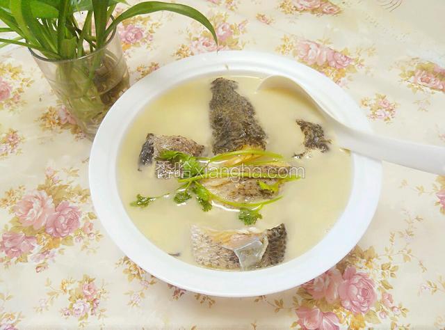 黑鱼豆腐汤