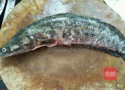 黑鱼豆腐汤的做法图解1