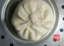 豇豆肉包子的做法图解14