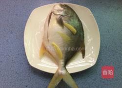 红烧金昌鱼的做法图解2