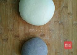 双色花卷的做法图解3