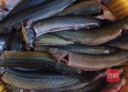 红烧泥鳅的做法图解2