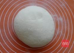 葱油花卷的做法图解6