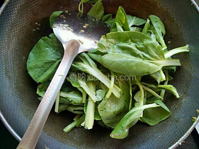 把小青菜放进去翻炒